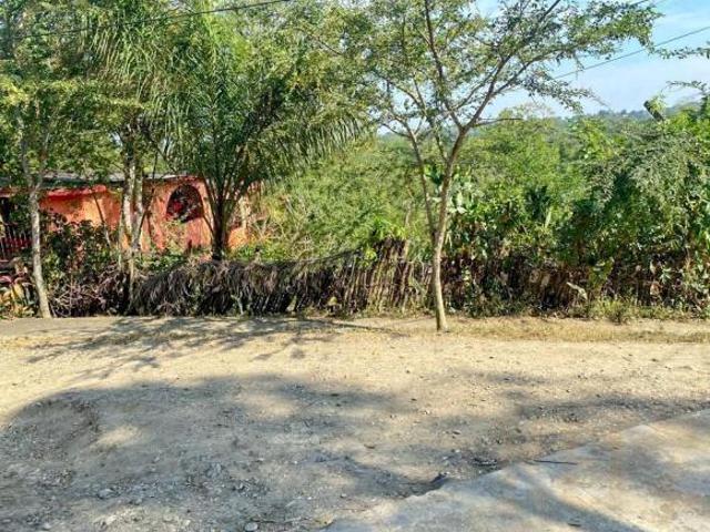 Terreno Ricardo Flores Magón