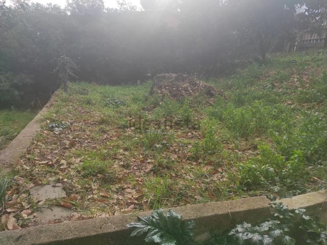 Terreno en venta en el Bosc de la Batllòria, Riells i Viabrea