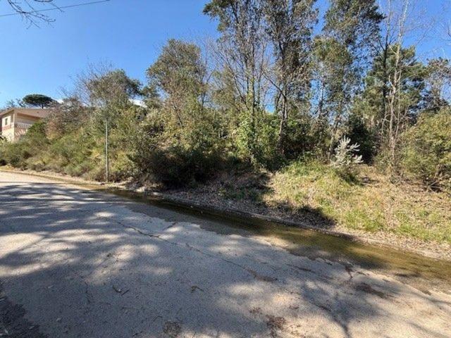 Terreno en venta en Junior Park, Riells i Viabrea