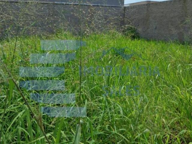 Terreno venda em Rincão Novo, Taquaritinga