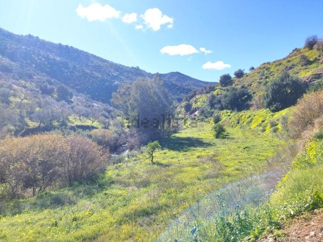 Terreno en venta en Este, Málaga-Costa del Sol