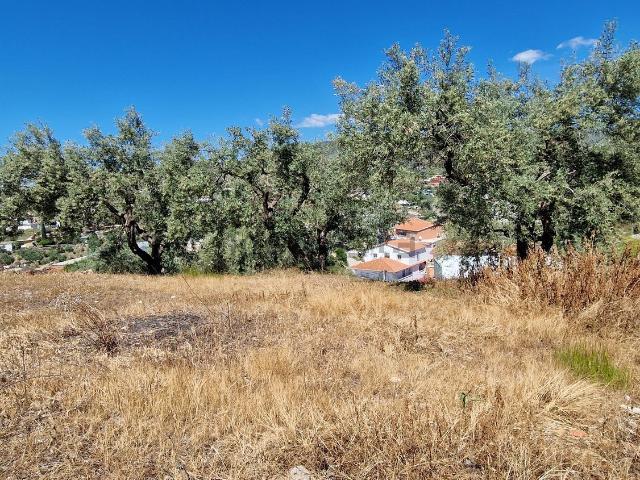 Terreno en venta en Las Casillas, La Axarquía