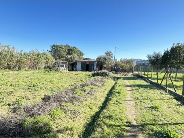 Terreno venda em Rio Maior, Santarém