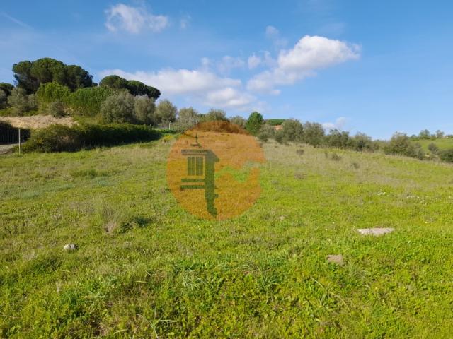 Terreno venda em Rio Maior, Santarém