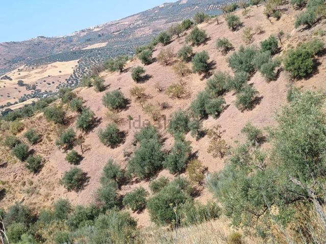 Terreno en venta en Riogordo, Málaga