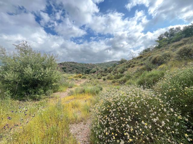 Terreno en venta en La Axarquía, Andalucía
