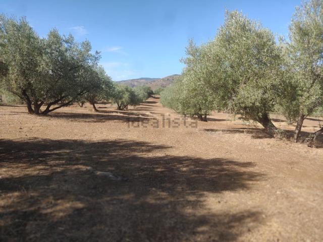 Terreno en venta en La Axarquía, Andalucía