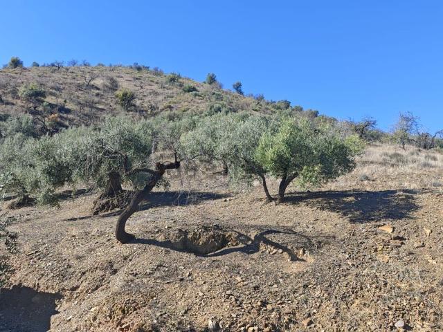 Terreno en venta en Riogordo, Málaga