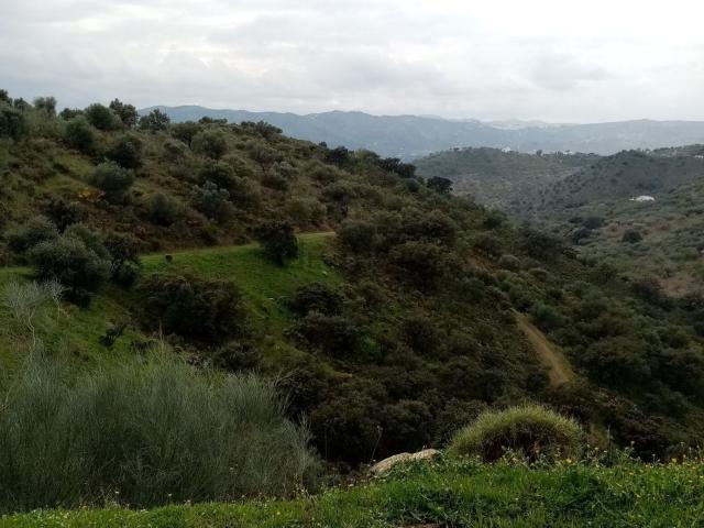 Terreno en venta en Riogordo, Málaga