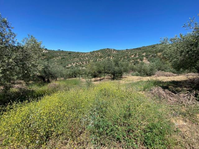 Terreno en venta en La Axarquía, Andalucía