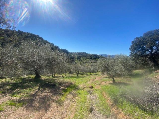 Terreno en venta en La Axarquía, Andalucía