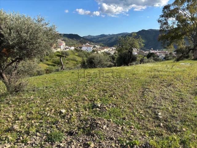 Terreno en venta en Riogordo, Málaga