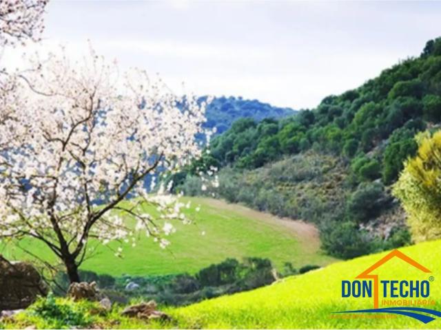 Terreno en venta en La Axarquía, Andalucía