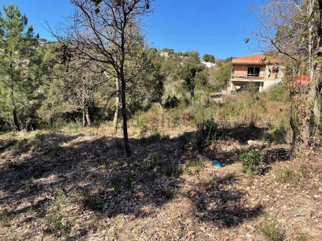 Terreno en venta en la Selva, Catalunya