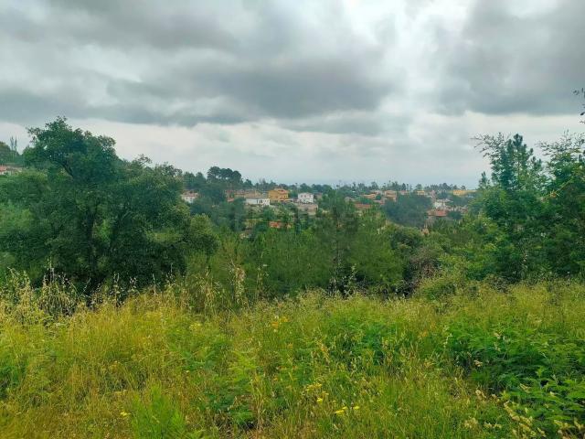 Terreno en venta en la Selva, Catalunya