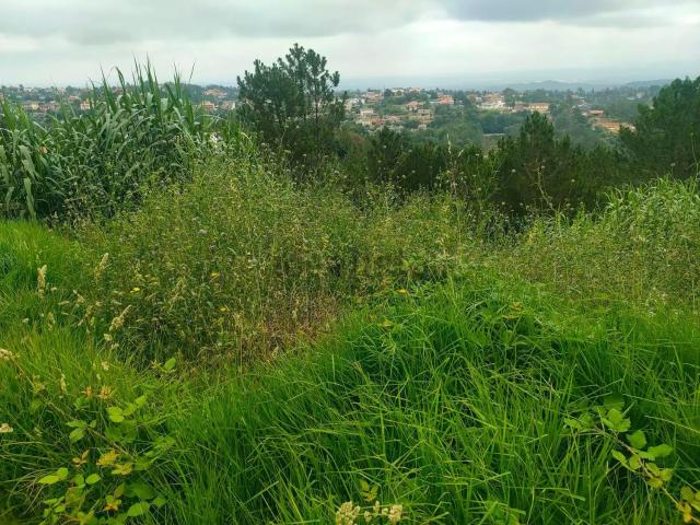 Terreno en venta en la Selva, Catalunya