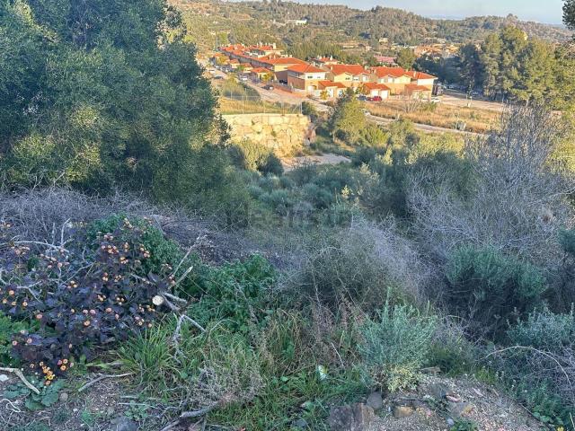 Terreno en venta en Baix Camp, Catalunya