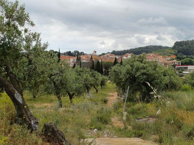 Terreno en venta en Riudecanyes, Tarragona