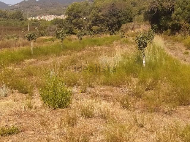 Terreno en venta en Baix Camp, Catalunya