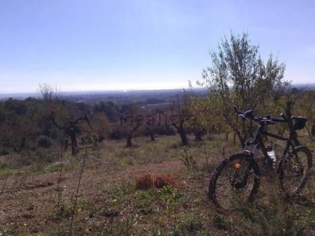 Terreno en venta en Baix Camp, Catalunya