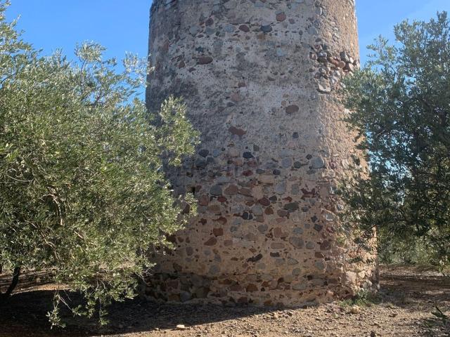 Terreno en venta en Baix Camp, Catalunya