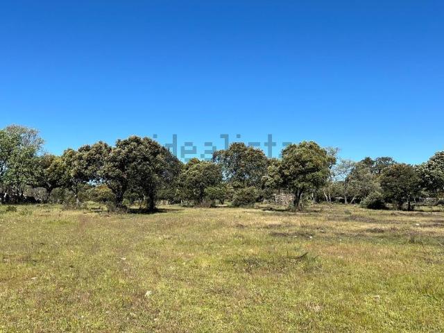 Terreno en venta en Robledillo De Trujillo, Extremadura