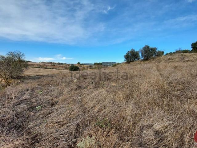 Terreno en venta en Conca de Barberà, Catalunya