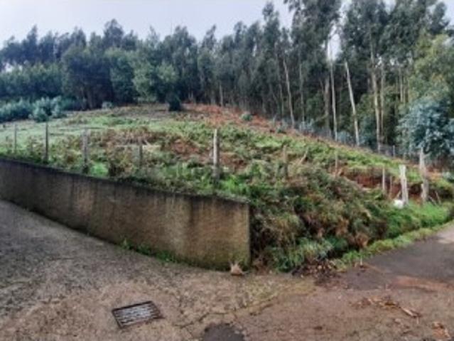 Terreno venda em Santa Cruz, Ilha Da Madeira