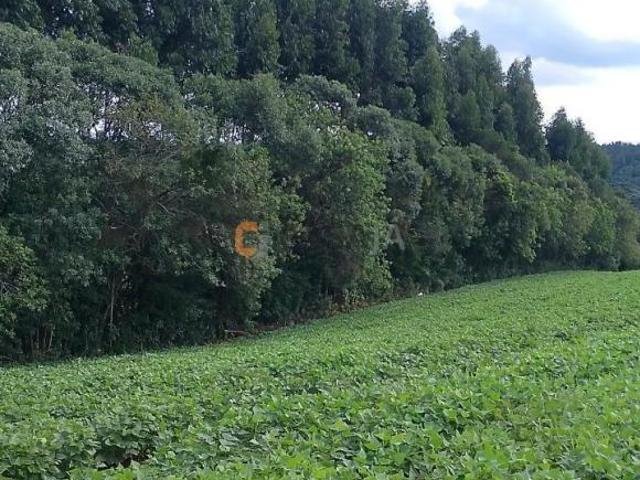 Terreno venda em Balsa Nova, Região Geográfica Intermediária de Curitiba
