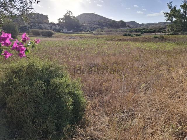 Terreno en venta en el Baix Segura / La Vega Baja, Valencia