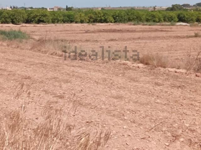 Terreno en venta en Urbanización Doña Pepa, el Baix Segura / La Vega Baja