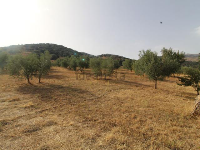 Terreno en venta en Ronda, Serranía de Ronda