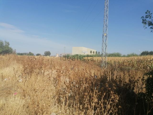Terreno en venta en Ronda, Comarca de la Vega de Granada