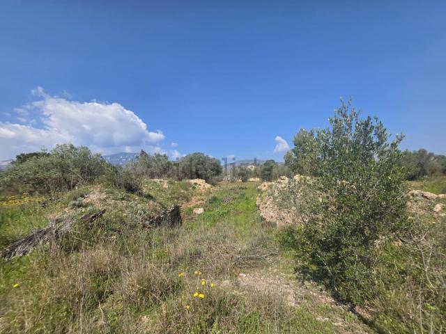 Terreno en venta en Baix Ebre, Catalunya