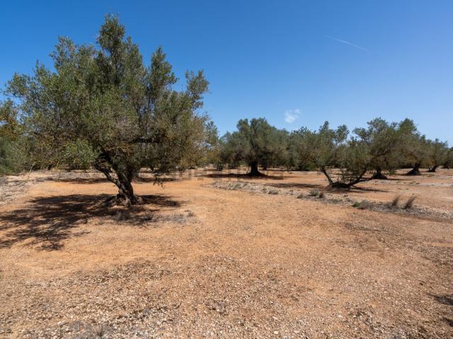 Terreno en venta en Montsià, Catalunya