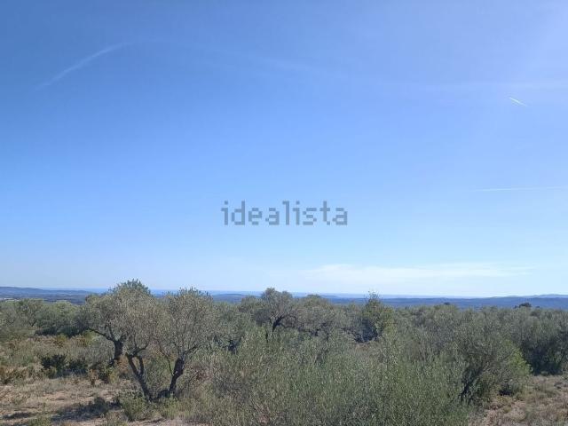 Terreno en venta en el Baix Maestrat, Valencia