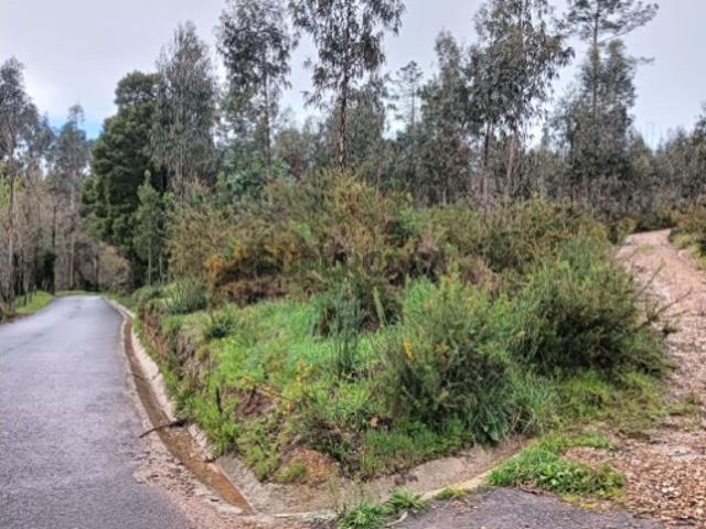 Terreno venda em Albergaria-a-velha, Aveiro