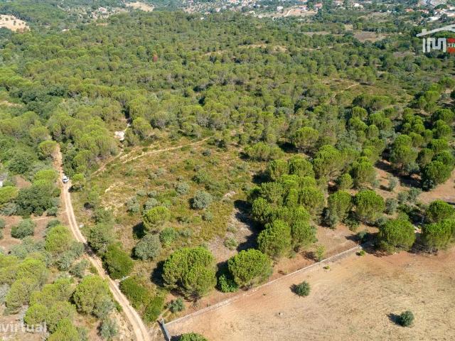 Terreno venda em Carregueiros, Carregueiros