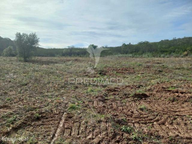 Terreno alugar em Faro, Vila da Praia