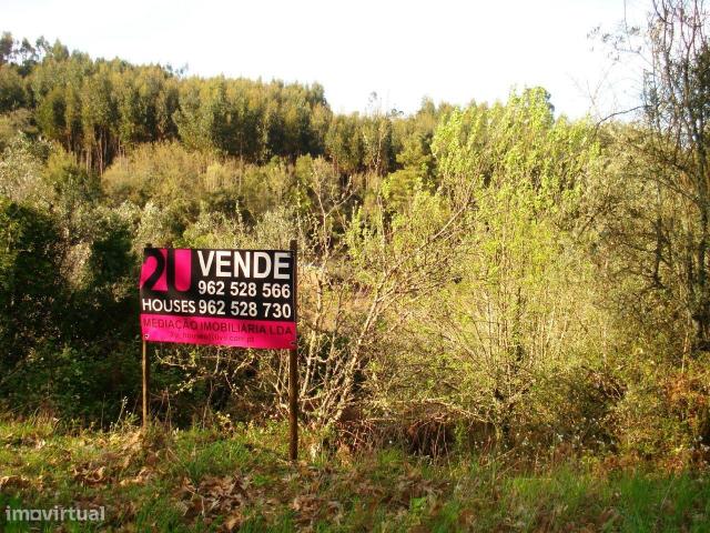 Terreno venda em Olalhas, Ventoso