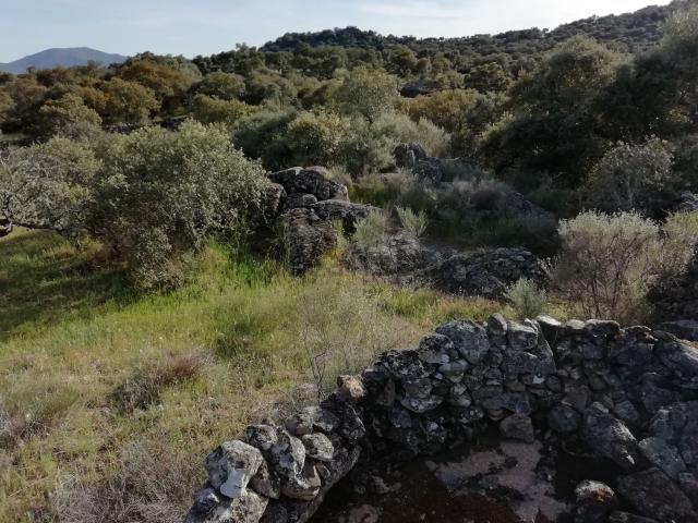 Terreno en venta en Ruanes, Extremadura