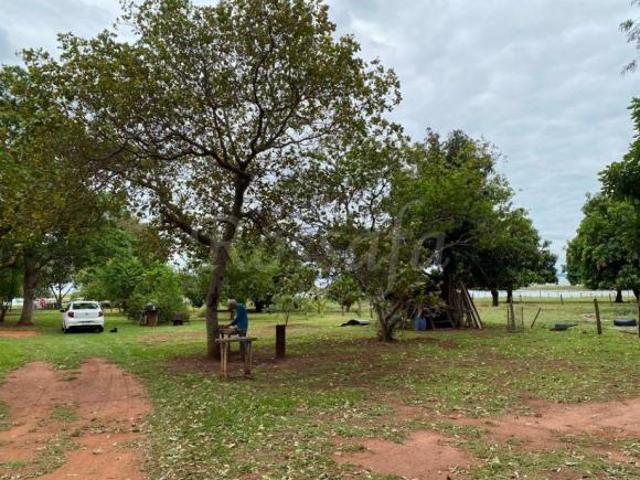 Terreno venda em Região Imediata de Santa Fé do Sul, Rubineia