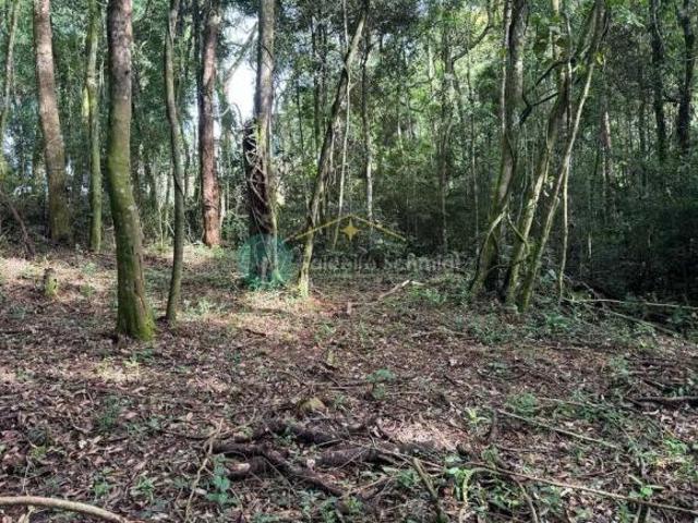 Terreno venda em Região Imediata de Taubaté-Pindamonhangaba, Região Metropolitana do Vale do Paraíba e Litoral Norte