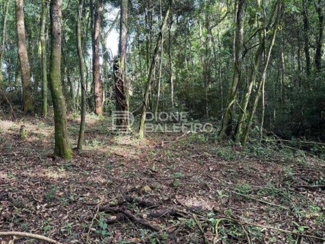 Terreno venda em Região Imediata de Taubaté-Pindamonhangaba, Região Metropolitana do Vale do Paraíba e Litoral Norte