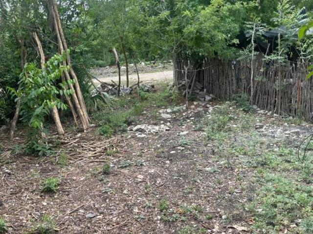 Terreno en venta en Ciudad Valles, San Luis Potosí