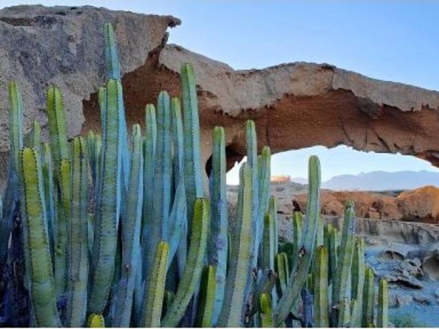 Local Comercial en venta en Arico, Canarias