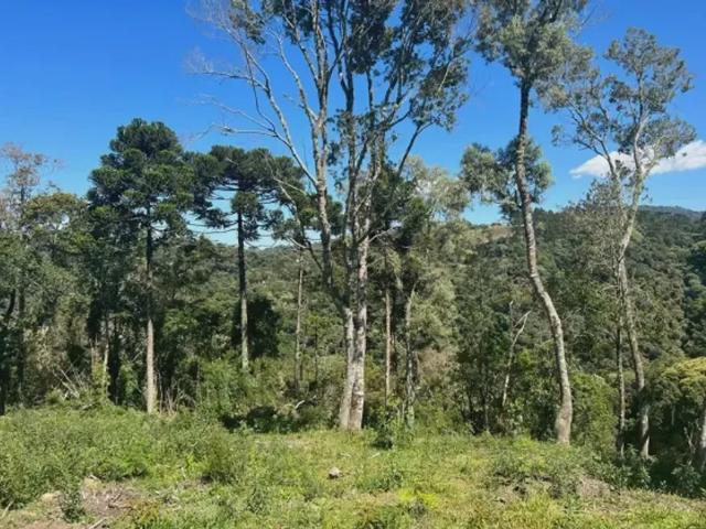 Fazenda venda em Região Geográfica Imediata de Lages, Urubici