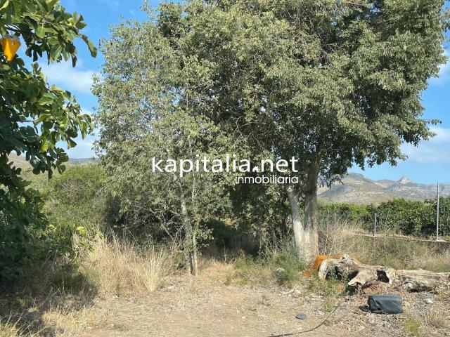 Terreno en venta en la Safor, Valencia