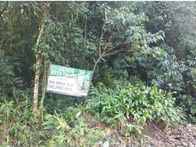 Terreno venda em Região Geográfica Imediata de Caxias do Sul, Canela