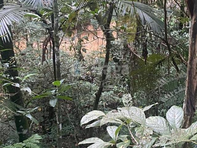 Terreno venda em Região Geográfica Imediata de Brusque, Nova Trento